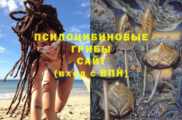 СК Туринск