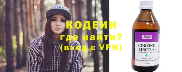 СК Туринск
