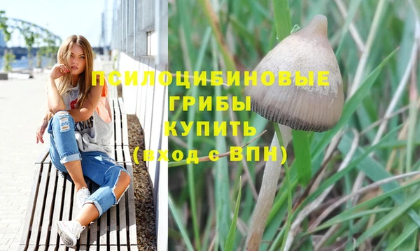 СК Туринск