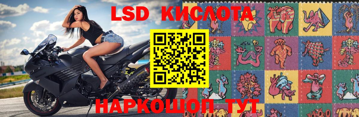 Наркотические марки 1500мкг Дмитров