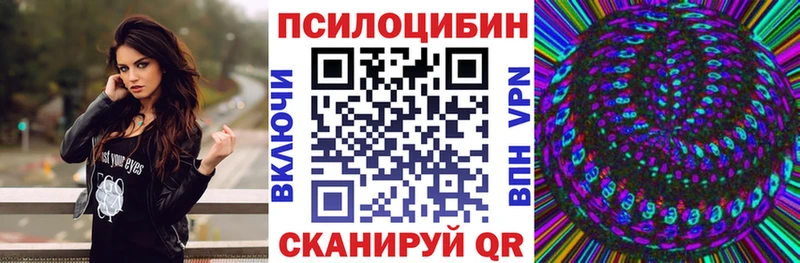 Псилоцибиновые грибы мухоморы  купить закладку  Дмитров 