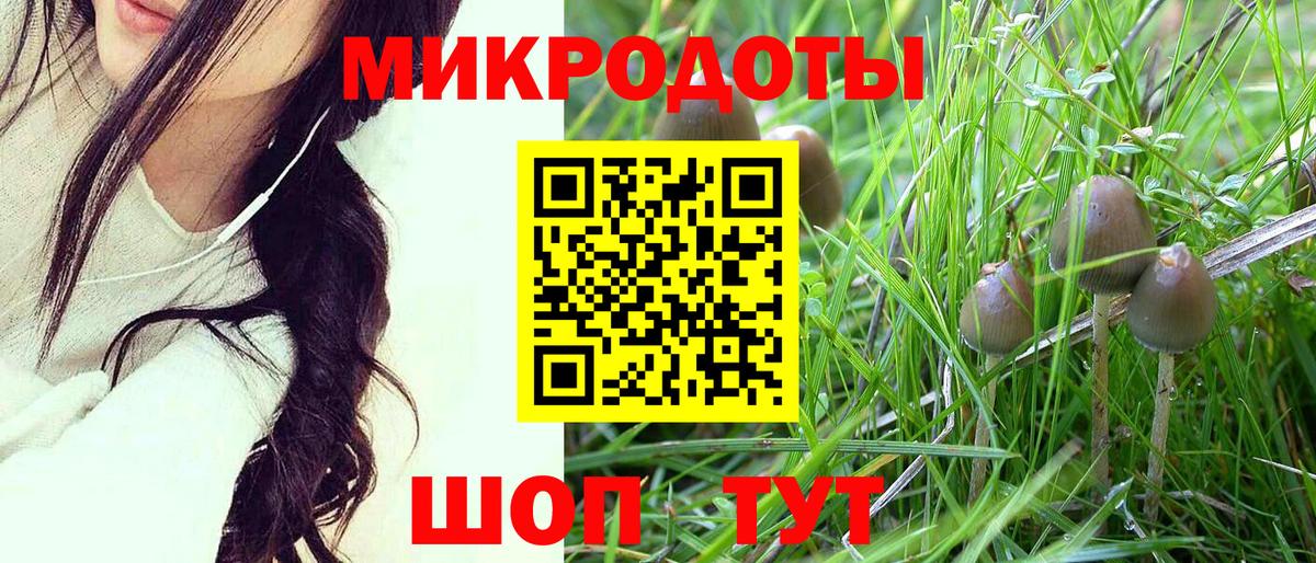 Галлюциногенные грибы ЛСД Дмитров